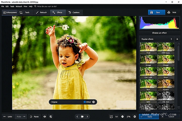 AMS PhotoWorks 21.0 Advanced Image Adjustment Panel with Color Correction, Filters, and Retouching Controls