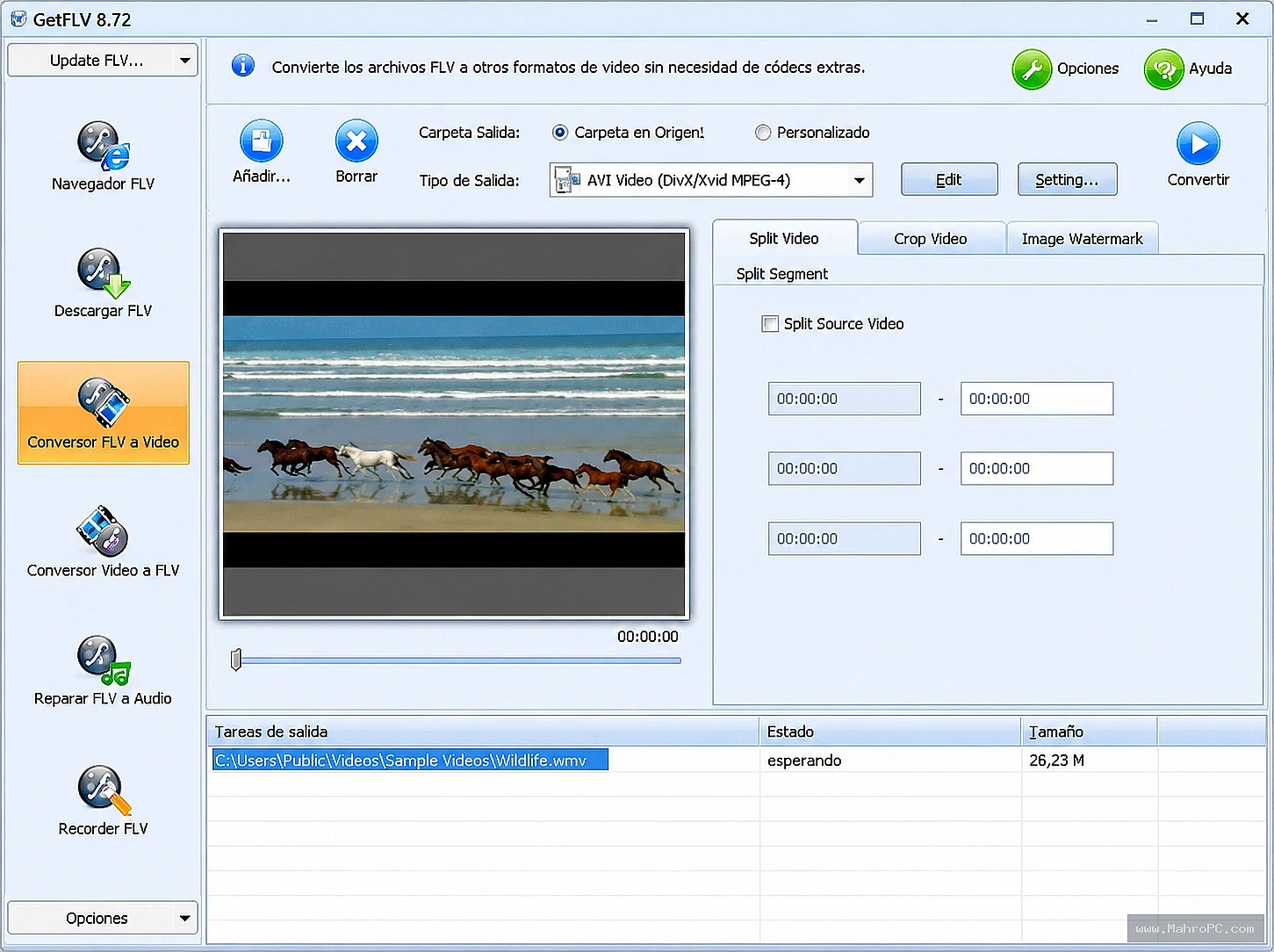 Vdigger GetFLV main interface for downloading online videos, managing media files, and organizing video downloads with ease.