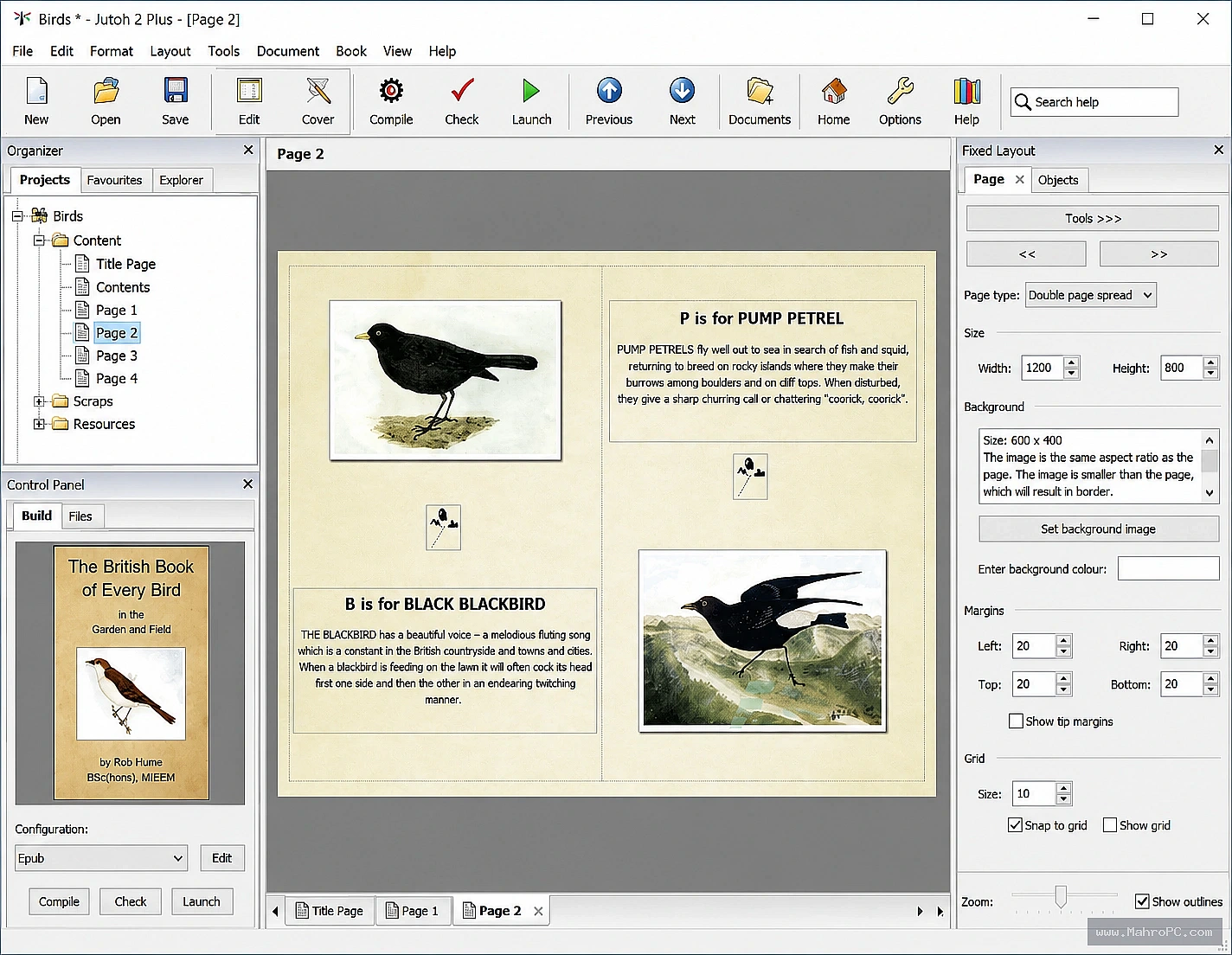Design and edit EPUB, Kindle, and other supported eBook formats while customizing layouts, styles, metadata, and navigation for a polished reading experience.