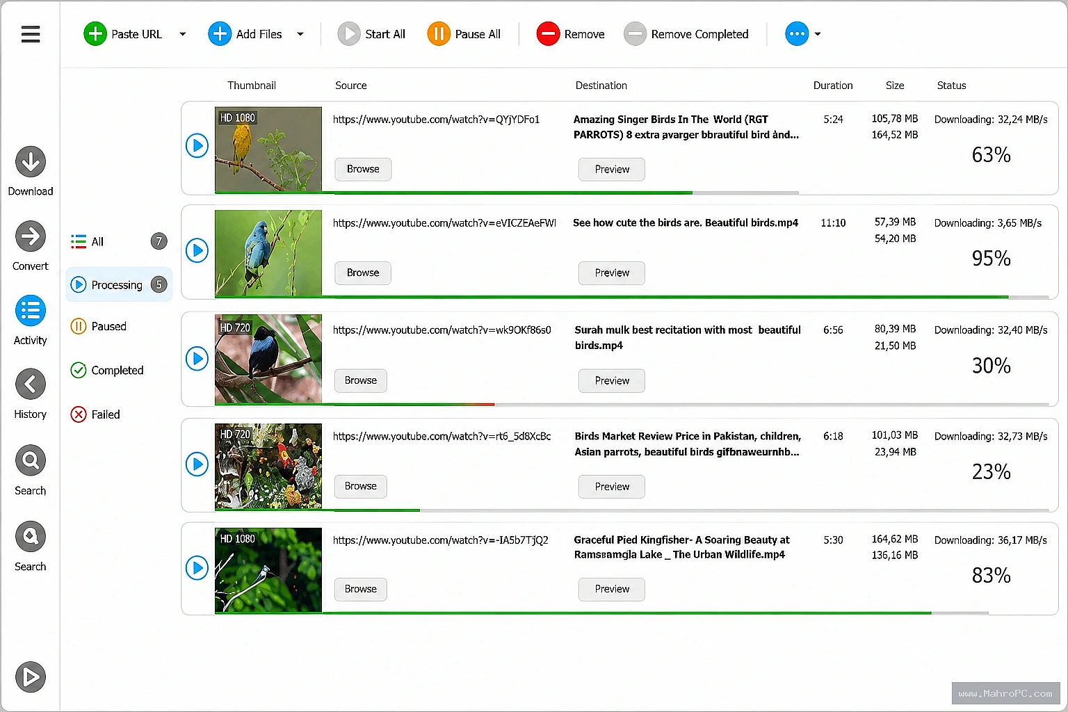 Choose from multiple download qualities, convert videos into popular formats, and extract audio when needed using flexible media conversion options.